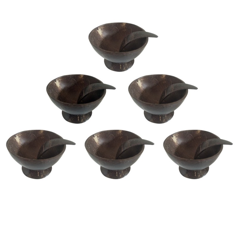 Coconut Shell Ice Cream Cup (Set of 6 )